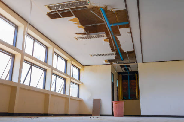 Best Water damage restoration near me  in New Haven, IN