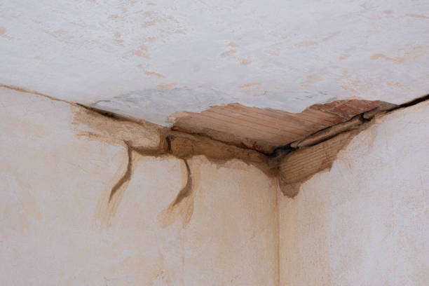 Best Basement water damage restoration  in New Haven, IN