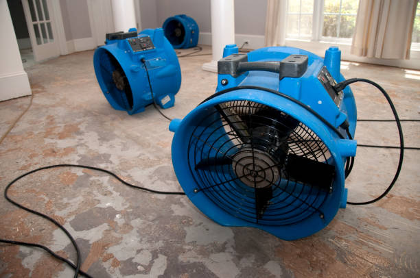 Best Water damage restoration mold remediation  in New Haven, IN