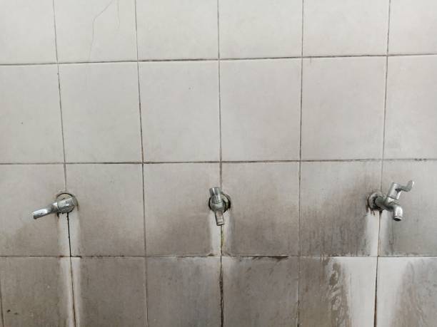 Best Carpet water damage restoration  in New Haven, IN