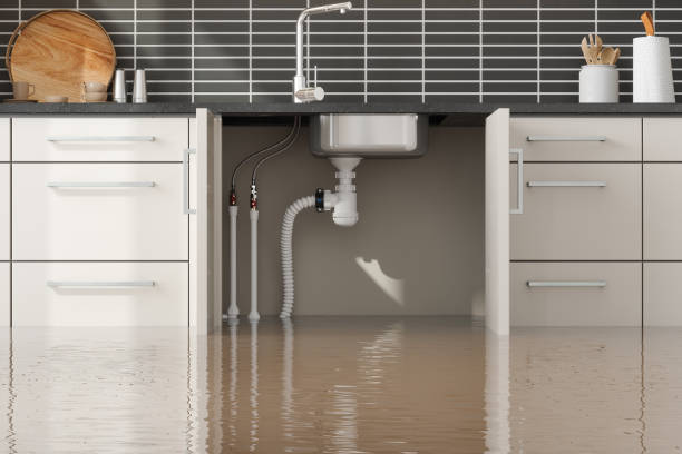 Best Flood restoration services  in New Haven, IN