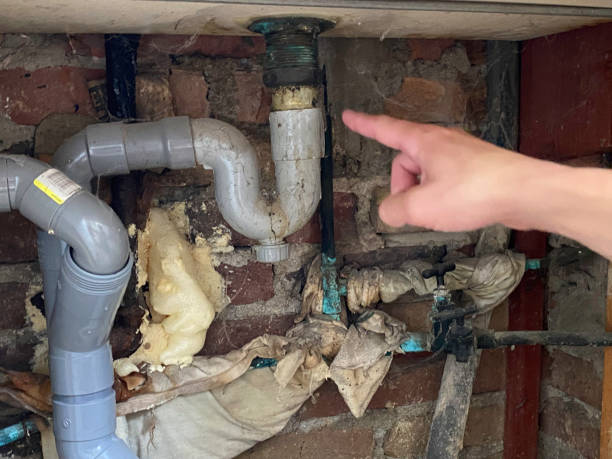 Best 24/7 water damage repair  in New Haven, IN