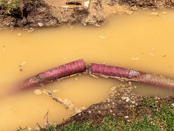 Best Water damage restoration experts  in New Haven, IN
