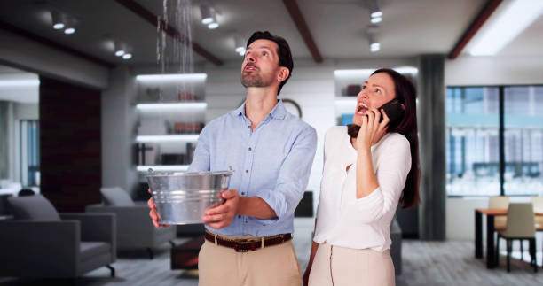 Best Water damage restoration specialists  in New Haven, IN